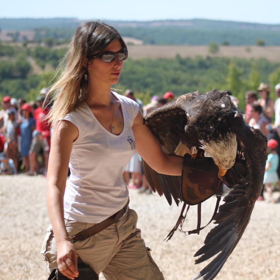 Excellent Sarlat Villa ภายนอก รูปภาพ